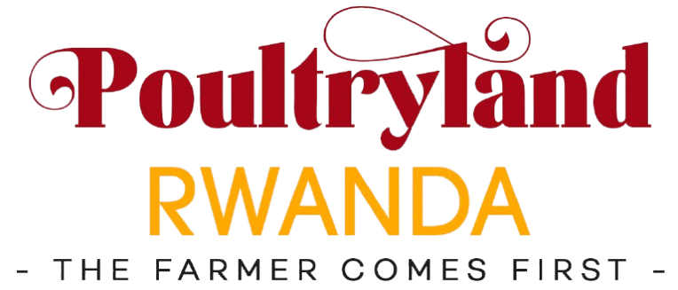 PoultryLand Rwanda